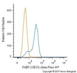 PABP Antibody (10E10) - Azide and BSA Free, Novus Biologicals 0.1 mL; Unconjugated:Antibodies,